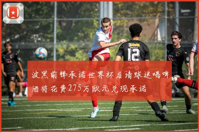 波黑前锋承诺世界杯后请球迷喝啤酒将花费275万欧元兑现承诺