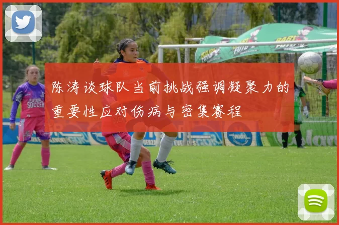 陈涛谈球队当前挑战强调凝聚力的重要性应对伤病与密集赛程